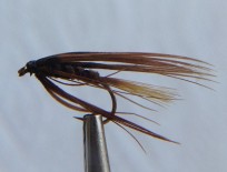 Carey's Special Brown-Size 8